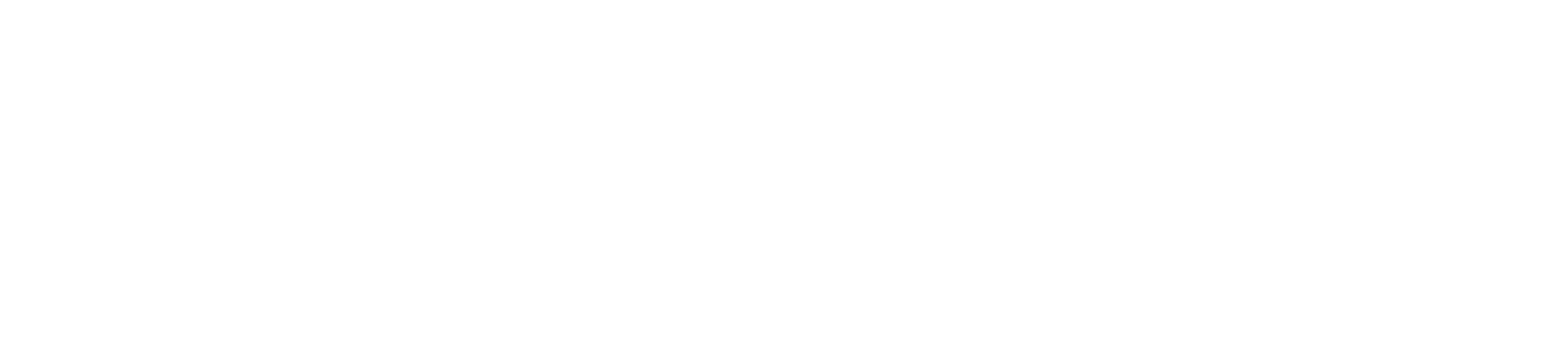 Altes Stadthaus Cottbus